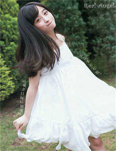 大唐女将樊梨花电视剧