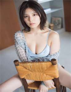 夺帅2